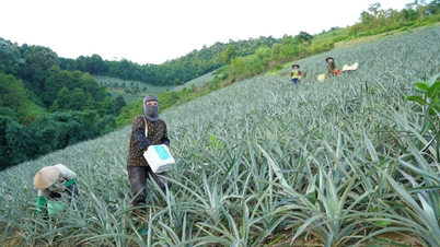 Muong Khuong border commune promotes economic development and maintains national security and defense.