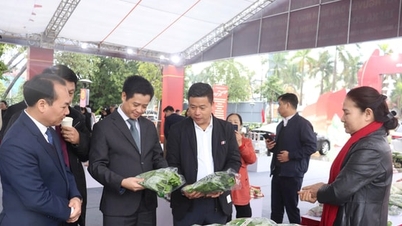 Hanoi: A „Ló évének holdújévét szolgáló fogyasztási cikkek kiállítási területének” megnyitása
