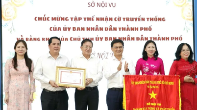 Jabatan Hal Ehwal Dalam Negeri Bandar Raya Ho Chi Minh sedang memberi tumpuan kepada memperkemas struktur organisasinya dan meningkatkan kualiti kakitangannya.