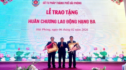 Sở Tư pháp tổ chức Lễ công bố Quyết định tặng thưởng Huân chương Lao động hạng Ba