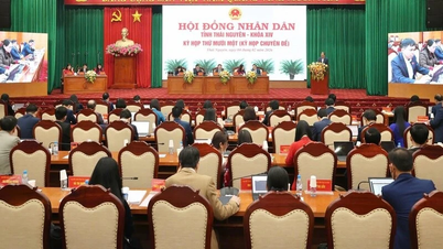 El Consejo Popular de la provincia de Thai Nguyen opera de manera eficaz y eficiente.