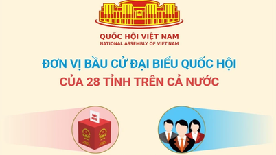 មណ្ឌលបោះឆ្នោតសម្រាប់ជ្រើសរើសតំណាងរាស្ត្រ មានទីតាំងនៅក្នុងខេត្តចំនួន ២៨ ទូទាំងប្រទេស។