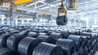 Developing the steel industry to meet the needs of energy and railway infrastructure.