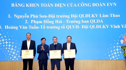 Związek zawodowy Phu Tho Power Company przedstawia swoje zadania na rok 2026.