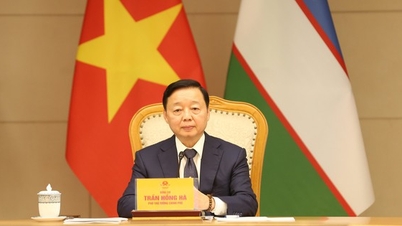 O vice-primeiro-ministro Tran Hong Ha realizou uma reunião virtual com o vice-primeiro-ministro do Uzbequistão, Jamshid Khodjaev.