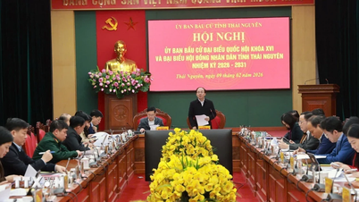Thai Nguyen: Pregătirile electorale se desfășoară cu seriozitate și la timp.