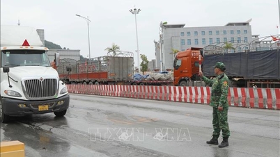 Найважливіші економічні новини В'єтнаму за 9 лютого 2026 року