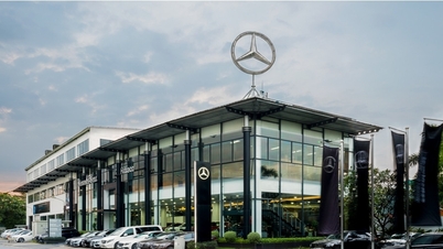 Гігант з продажу автомобілів Mercedes-Benz пояснює причину падіння прибутку на понад 80%.