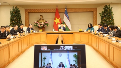 Başbakan Yardımcısı Tran Hong Ha, Özbekistan Başbakan Yardımcısı ile sanal bir görüşme gerçekleştirdi.