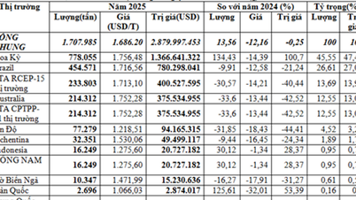 Vietnam importará 1,71 millones de toneladas de algodón en 2025, y Estados Unidos representará casi el 50% de la cuota de mercado.
