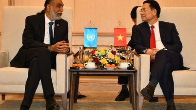 Vietnamul consolidează cooperarea digitală regională și globală prin intermediul întâlnirilor bilaterale din cadrul ADGMIN 6.