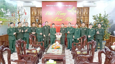 O Comando Militar Provincial de Huaphanh envia felicitações de Ano Novo à Guarda de Fronteira de Son La.