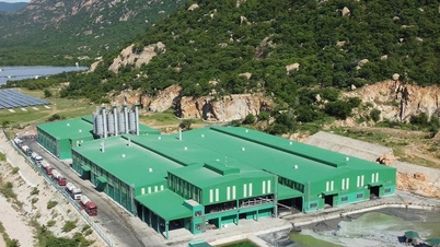 Desarrollo de materiales de construcción ecológicos: desde la experiencia práctica de Song Da Cao Cuong Joint Stock Company.