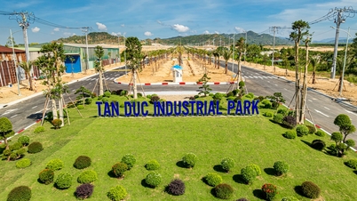 Tan Duc Ipari Park: Az integráció nem csak a Sonadezi részéről történik
