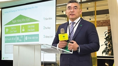 IFC mở ra không gian mới cho dòng vốn quốc tế