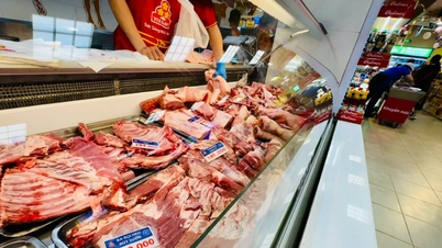 Prix ​​du porc aujourd'hui, 10 février 2026 : Vont-ils descendre en dessous de 70 000 VND/kg avant le Nouvel An lunaire ?