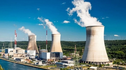 Ninh Thuan Nuclear Power Project: Accelerating land clearance progress after restart.