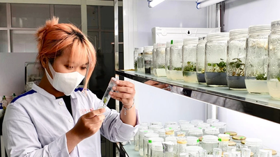 Uniwersytet Duy Tan oferuje programy studiów biotechnologicznych i farmaceutycznych, które integrują projekty badawcze.