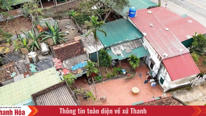 Lahan berharga yang dibiarkan terbengkalai - Pemborosan sumber daya, menghambat pembangunan.