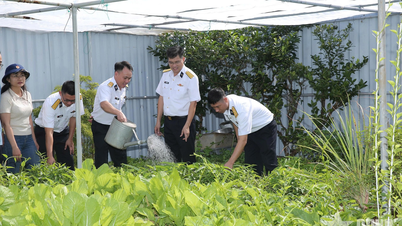Creating a source of fresh vegetables to improve the living standards of soldiers on the DK1 offshore platforms.