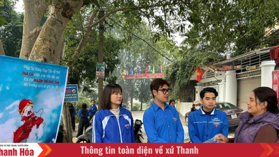 Hac Thanh Mahallesi Gençlik Birliği, sakinlere balık salma konusunda yardımcı oluyor ve çevre korumasını teşvik ediyor.