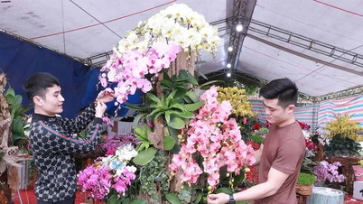 Llevando flores de primavera a las calles.