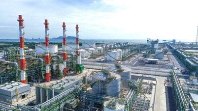 Long Son PIC (PXL) changes its General Director and reorganizes its management structure.
