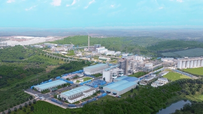 Dak Nong Aluminum Company - TKV は課題を克服し、持続可能な開発への推進力を生み出しています。