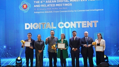 "ดรีมฟอเรสต์ลังกาวี: เมื่อเทคโนโลยีไม่ได้อยู่แค่บนหน้าจอ แต่เข้าถึงหัวใจของผู้คน"