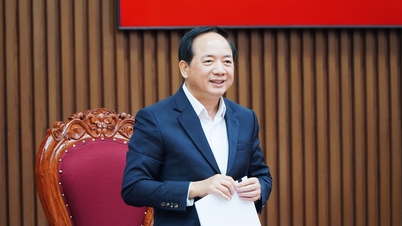 Inspeksjons- og overvåkingsdelegasjonen fra den stående komiteen i nasjonalforsamlingen og det nasjonale valgrådet samarbeidet med valgkomiteen i Quang Ngai provinsielle.