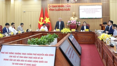 Centrul Național Petrochimic și Energetic - O oportunitate uriașă pentru Quang Ngai