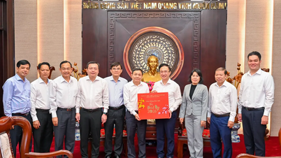 Ledare för Dong Thap-provinsens partikommitté besöker och hälsar Ho Chi Minh-stadens partikommitté på nytt år.
