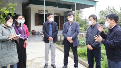하띤성은 H5N1 조류 인플루엔자에 감염된 가금류 약 1,000마리를 살처분하고, 인체 전염을 막기 위한 조치를 강화했습니다.