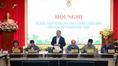 Hukuk belgelerinin inceleme kalitesini artırmaya yönelik çözümler