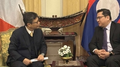 Duta Besar Vietnam ke Perancis, Trinh Duc Hai, telah membuat kunjungan hormat ke atas Duta Besar Laos.