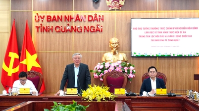 ឧបនាយករដ្ឋមន្ត្រី ង្វៀន ហ្វាប៊ិញ បានធ្វើការជាមួយខេត្តក្វាងង៉ាយ លើគម្រោងមជ្ឈមណ្ឌលប្រេងឥន្ធនៈគីមី និងថាមពលជាតិ។