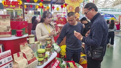 Bedrijven uit Da Nang presenteren regionale specialiteiten op de Lentemarkt.
