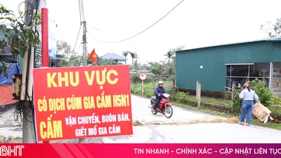 Langkah-langkah intensif sedang diambil untuk mengendalikan wabah flu burung H5N1 yang berasal dari Cam Xuyen, "pusat" penyakit tersebut.