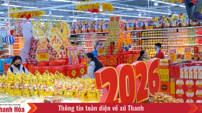 The Prime Minister directed that efforts be made to care for and support the people in celebrating Tet (Lunar New Year) in a joyful, safe, and economical manner.