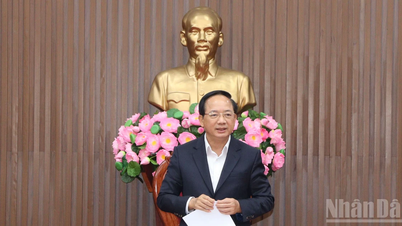 ខេត្តក្វាងង៉ាយ ត្រូវអនុវត្តដំណើរការបោះឆ្នោតដោយប្រុងប្រយ័ត្ន និងម៉ឺងម៉ាត់ស្របតាមច្បាប់។