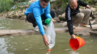 Release the carp, but don't release the plastic bags.