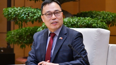 Den sydkoreanska ambassadören uttryckte ånger över de olämpliga kommentarerna om vietnamesiska kvinnor.