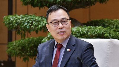 Duta Besar Korea Selatan menyampaikan penyesalan atas pernyataan yang tidak pantas tentang perempuan Vietnam.