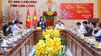 Lam Dong province handles 100% of vessels violating IUU (Illegal, Unreported, and Unregulated) fishing regulations by removing all vessels that lost connectivity.