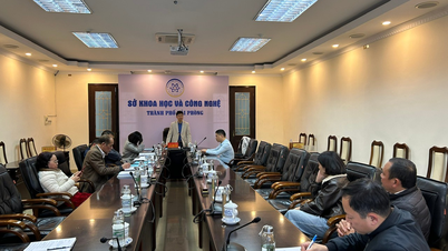 Desarrollo de un modelo para el cultivo comercial de anguilas de agua dulce en tanques sin lodo utilizando alimento a base de hierbas en la provincia de Hai Duong (ciudad de Hai Phong).