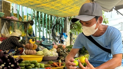 Цена на лимоны без косточек утроилась, но у фермеров нет запасов на продажу.
