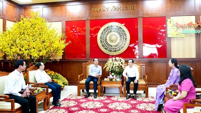 O delegație a Comitetului Permanent al Comitetului de Partid Provincial Ca Mau a vizitat provincia Vinh Long și a transmis urări de Anul Nou.