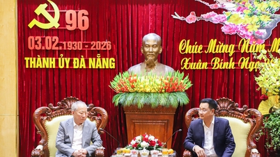 Secretary of the Da Nang City Party Committee Le Ngoc Quang receives a delegation from a leading Chinese construction group.