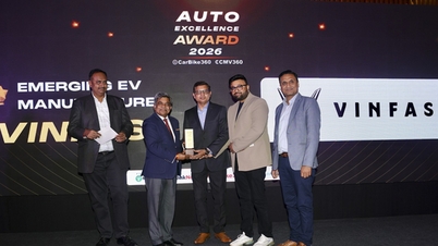 VinFast VF 6 and the VinFast brand win a double award for electric vehicles in India.