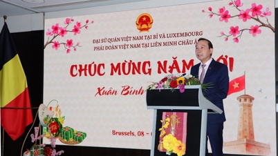 Comunitatea vietnameză sărbătorește Anul Nou Lunar al Calului 2026 în Belgia.